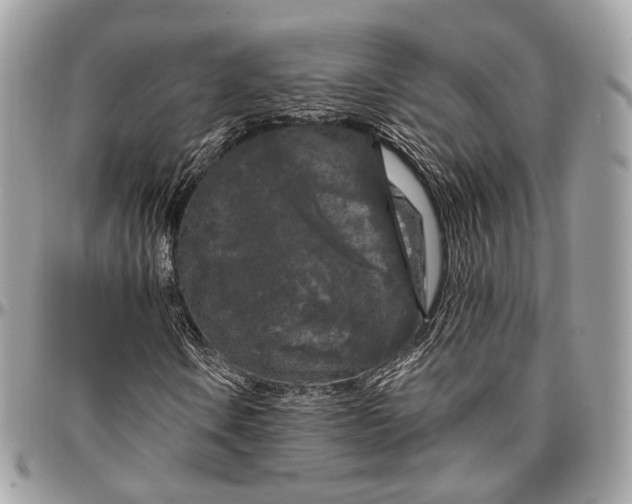 X0000096411106200802141534