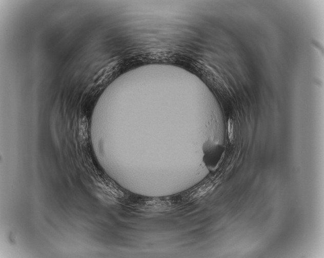 X0000096411107200802141534