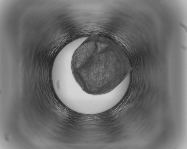 X0000096411108200802141534