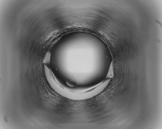 X0000096411110200802141534