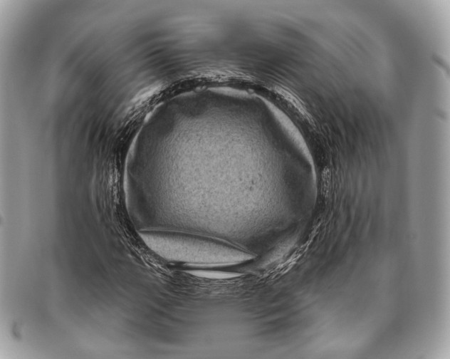 X0000096411111200802141534