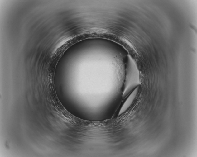 X0000096411112200802141534