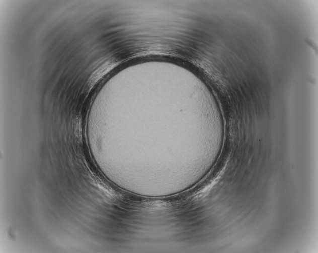 X0000096411113200802141534