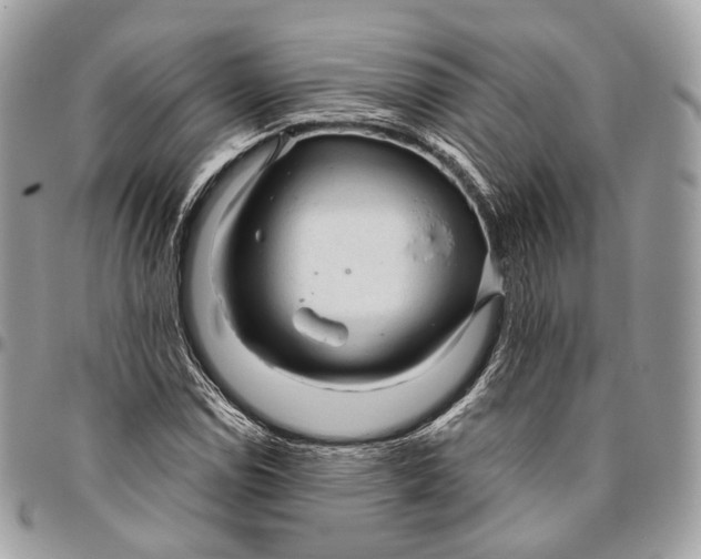 X0000096411114200802141534