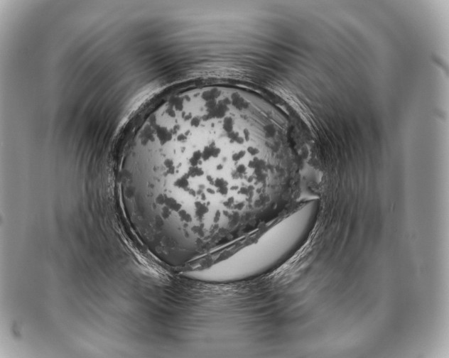 X0000096411115200802141534