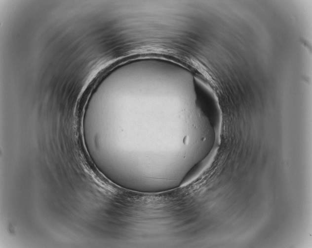 X0000096411116200802141534