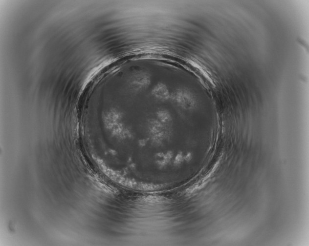 X0000096411117200802141535