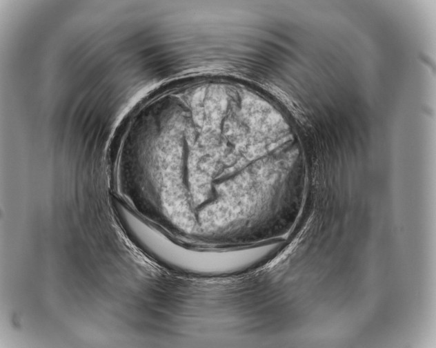 X0000096411118200802141535