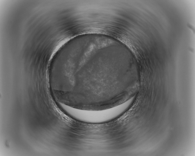 X0000096411120200802141535