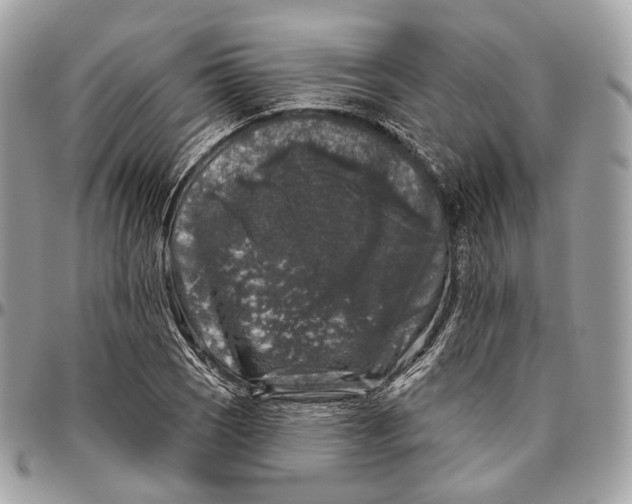 X0000096411121200802141535