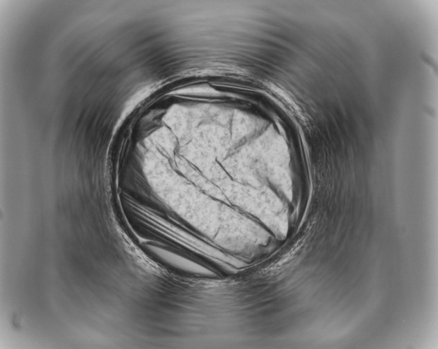 X0000096411122200802141535