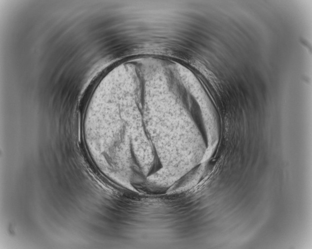 X0000096411123200802141535