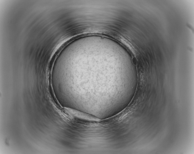 X0000096411124200802141535