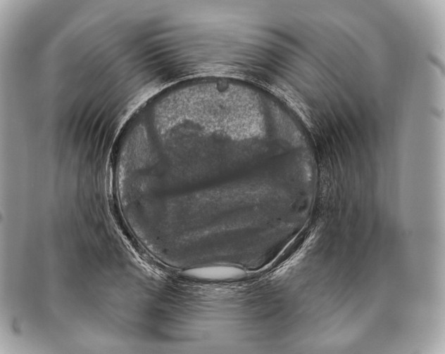 X0000096411125200802141535