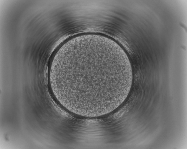 X0000096411126200802141535