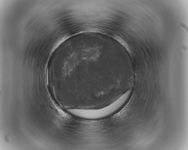 X0000096411127200802141535