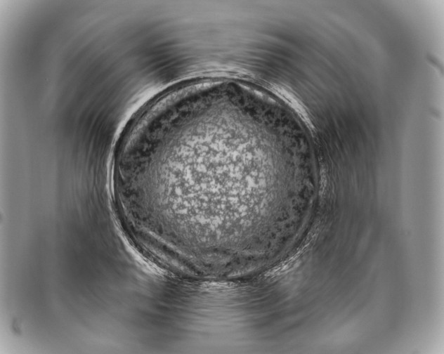 X0000096411128200802141535