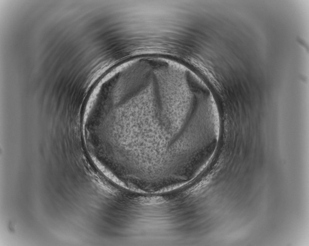 X0000096411129200802141535