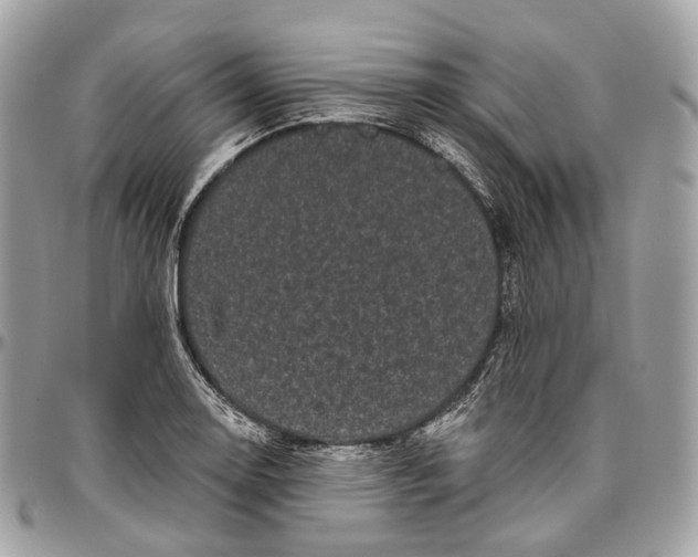 X0000096411130200802141535