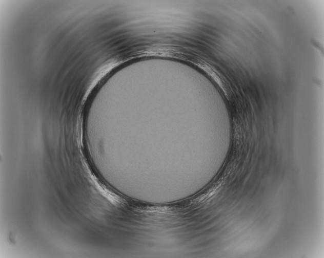 X0000096411131200802141535