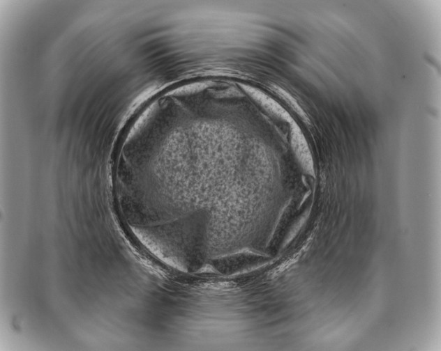 X0000096411133200802141535