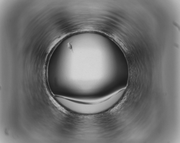 X0000096411134200802141535