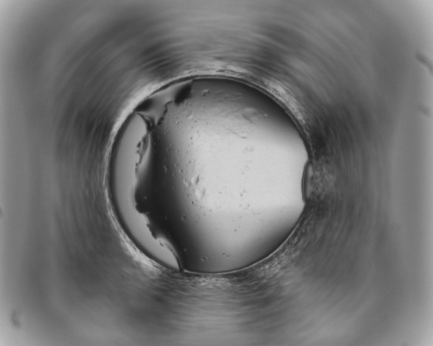 X0000096411136200802141535