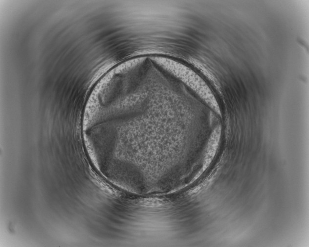 X0000096411137200802141535