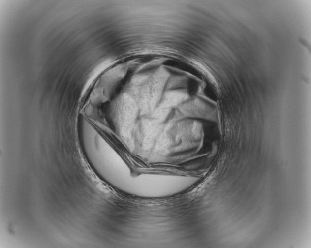 X0000096411138200802141535