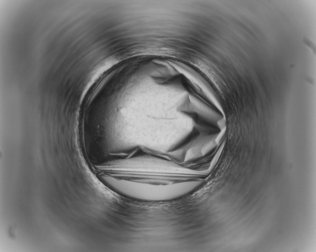 X0000096411139200802141535