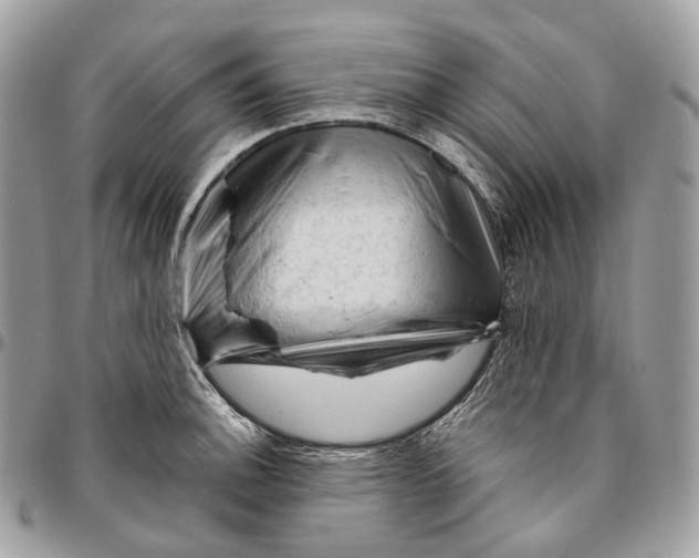 X0000096411140200802141535