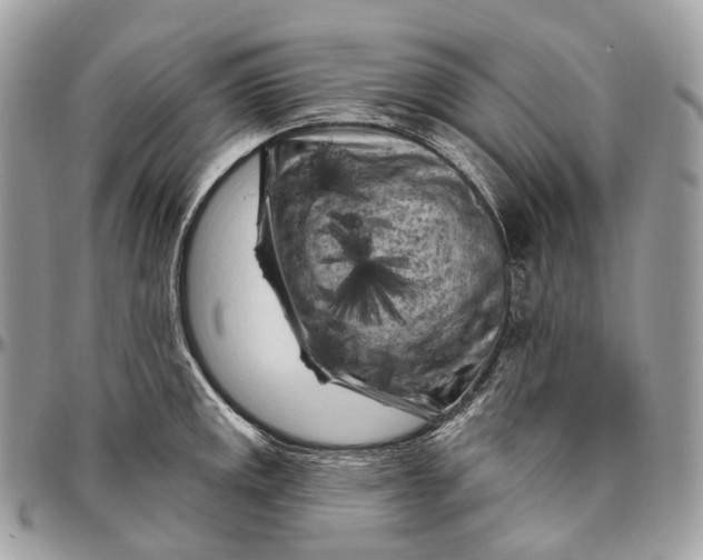 X0000096411141200802141535