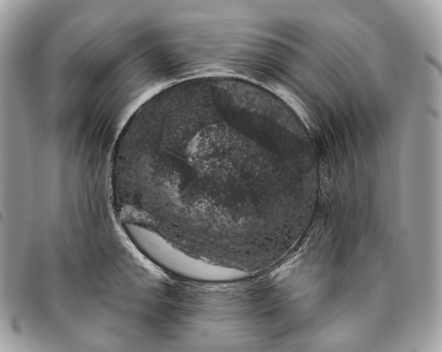 X0000096411142200802141535