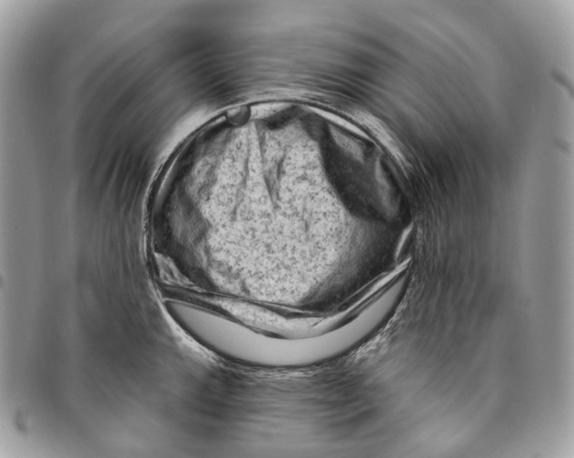 X0000096411143200802141535