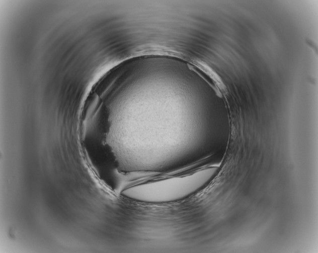 X0000096411144200802141535