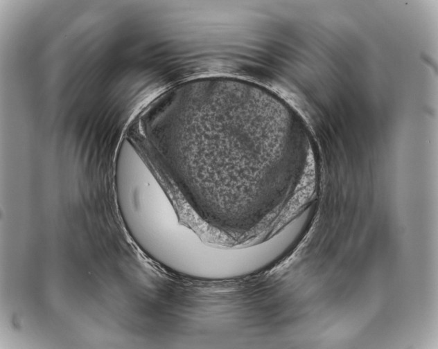 X0000096411145200802141535