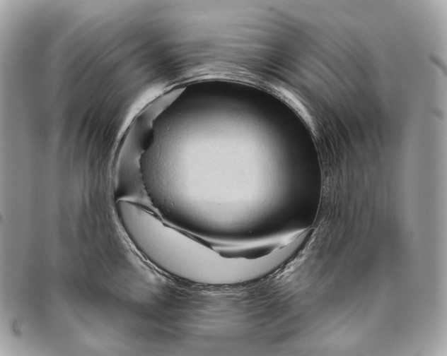 X0000096411146200802141535