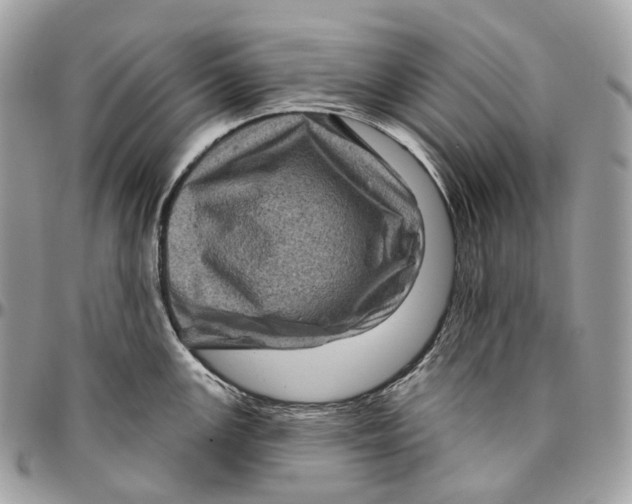 X0000096411147200802141535