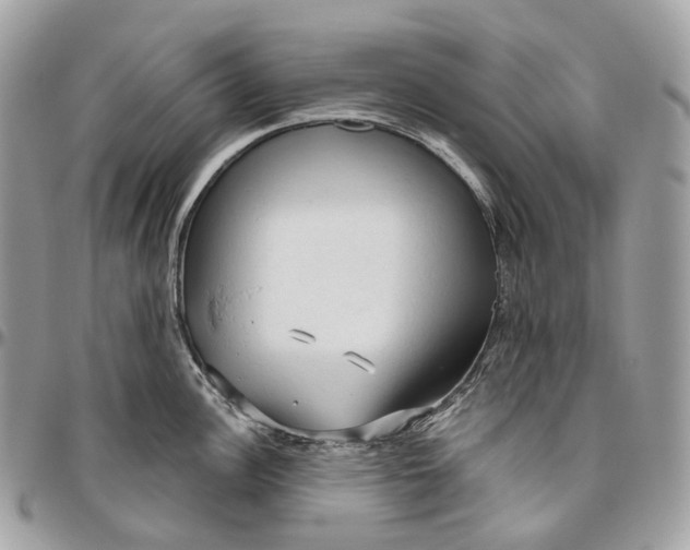 X0000096411148200802141535