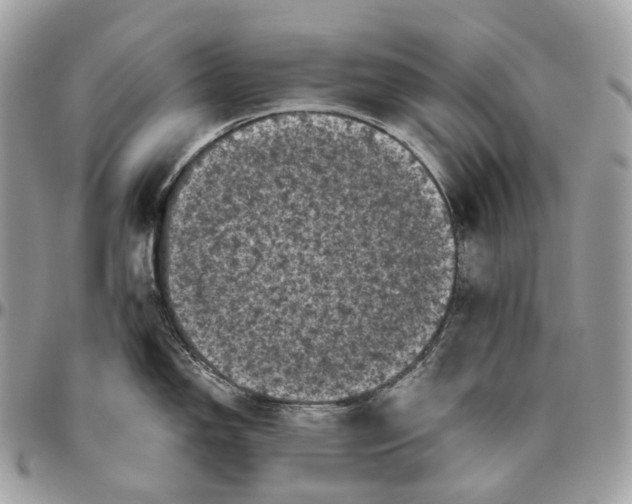 X0000096411150200802141535