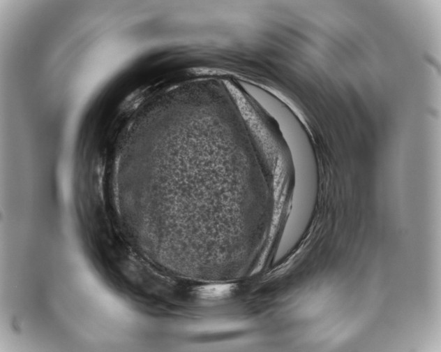 X0000096411151200802141535