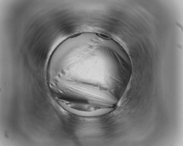 X0000096411152200802141535