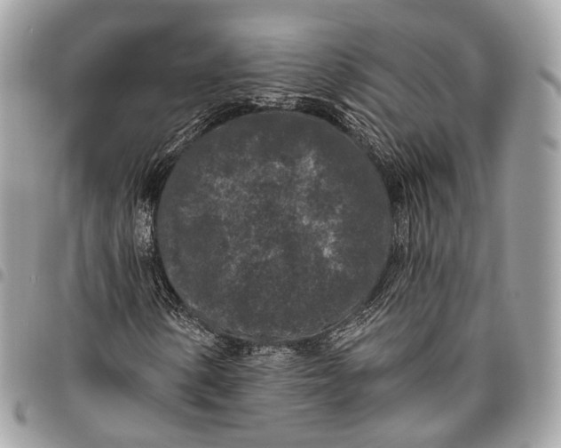 X0000096411154200802141534