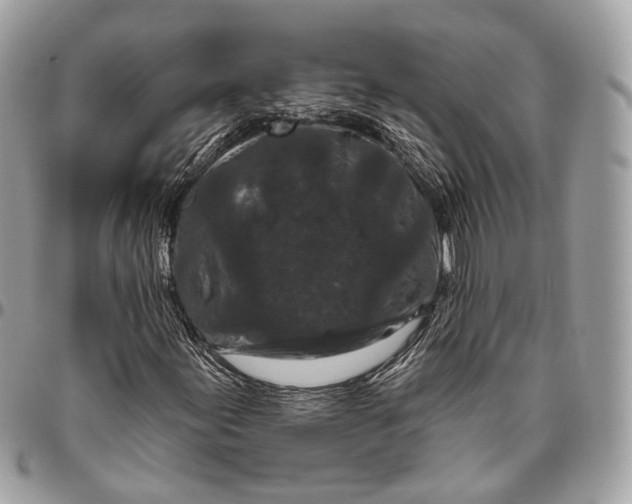 X0000096411155200802141534