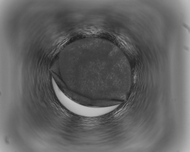 X0000096411156200802141534