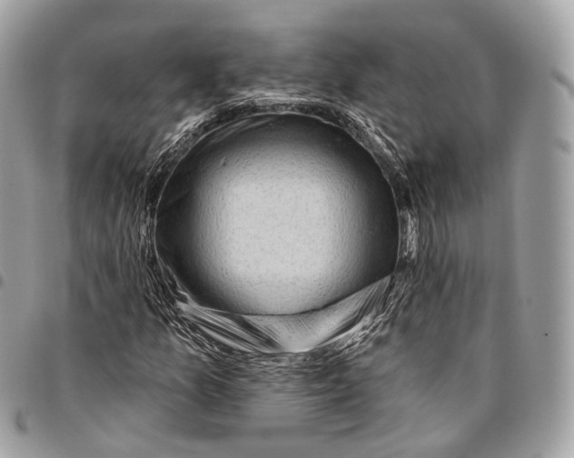 X0000096411157200802141534