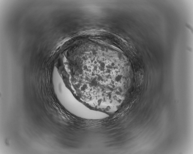 X0000096411158200802141534