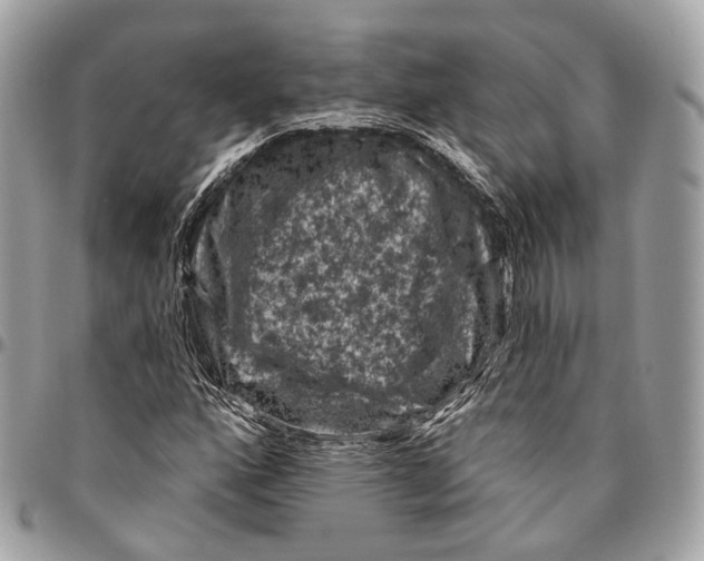 X0000096411160200802141534