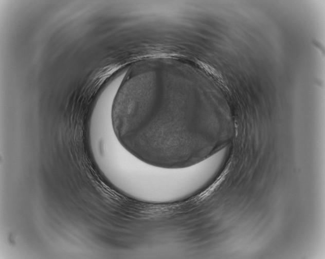 X0000096411161200802141534