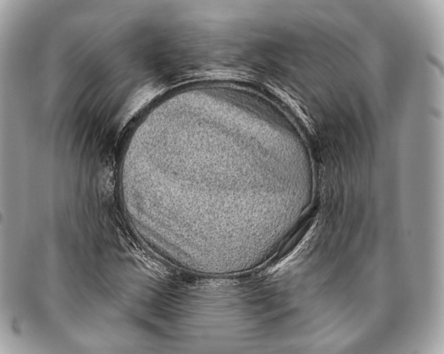 X0000096411163200802141534